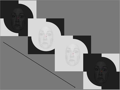 Occipital Magnocellular VEP Non-linearities Show a Short Latency Interaction Between Contrast and Facial Emotion